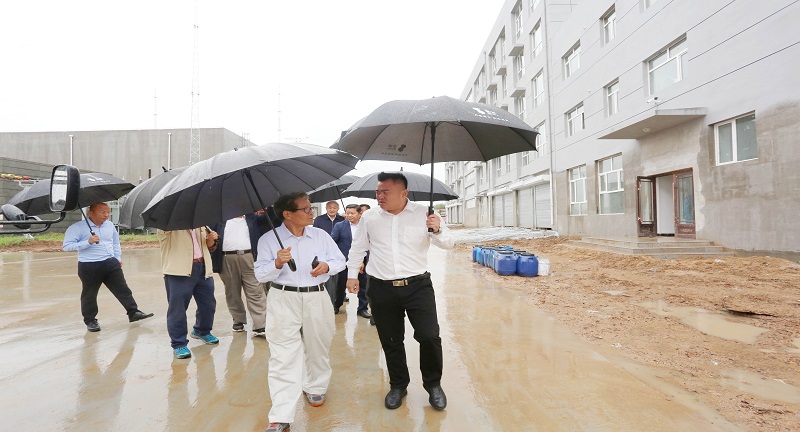 1597216830341646.jpg IMGL0943.JPG