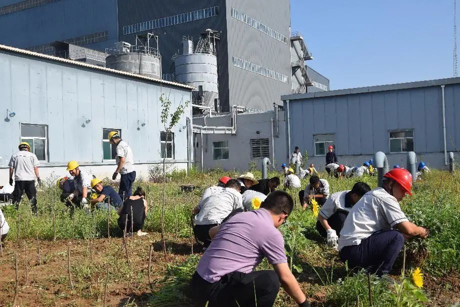 1715841460809744.jpg ef442f6b8fe938fa5cad82f0c1b66758.jpg